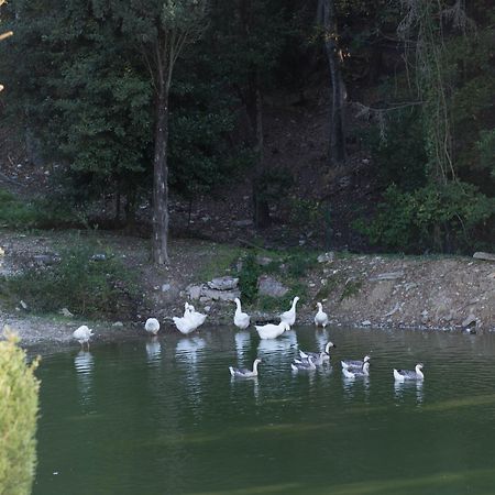 Tenuta La Bandita Sassetta Esterno foto