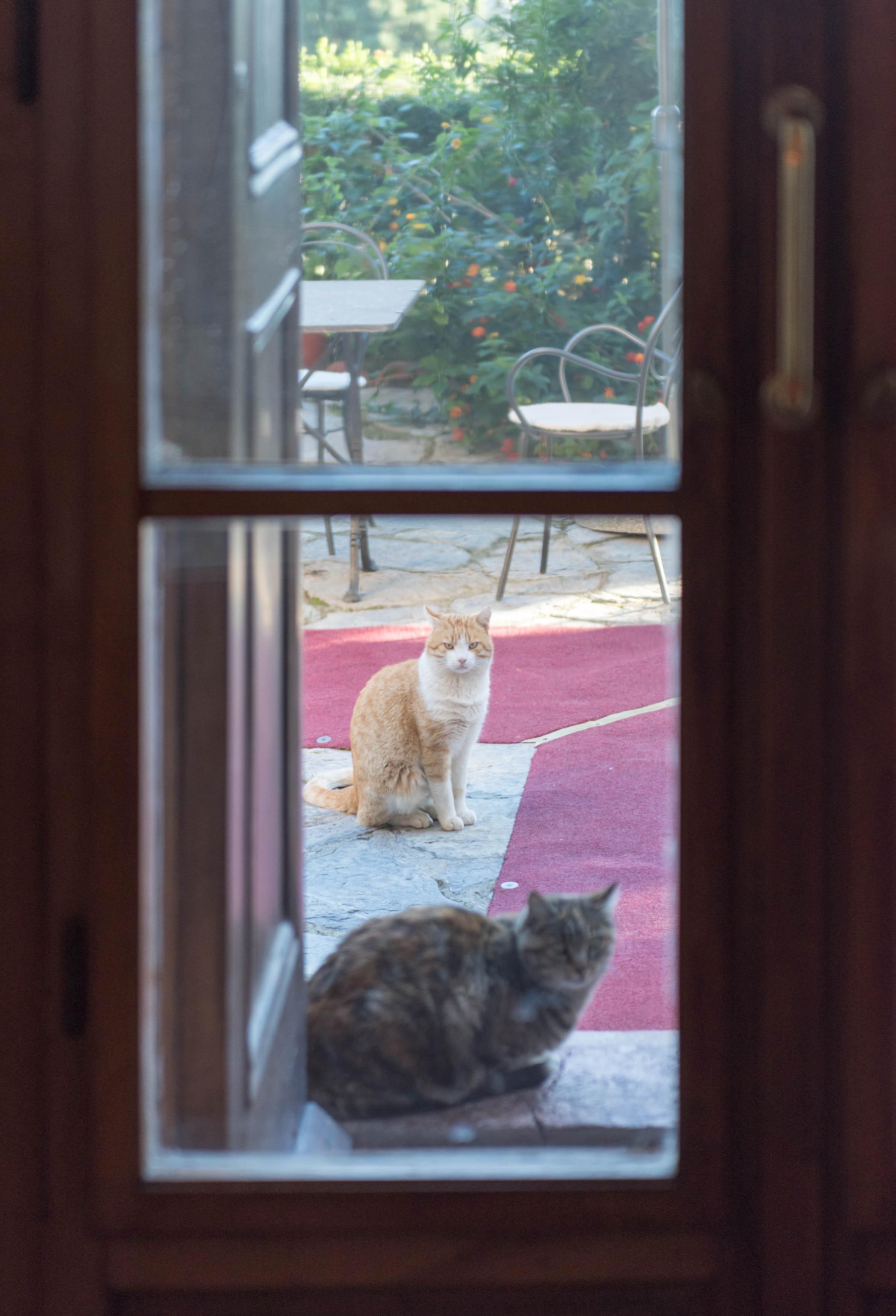 Tenuta La Bandita Sassetta Esterno foto