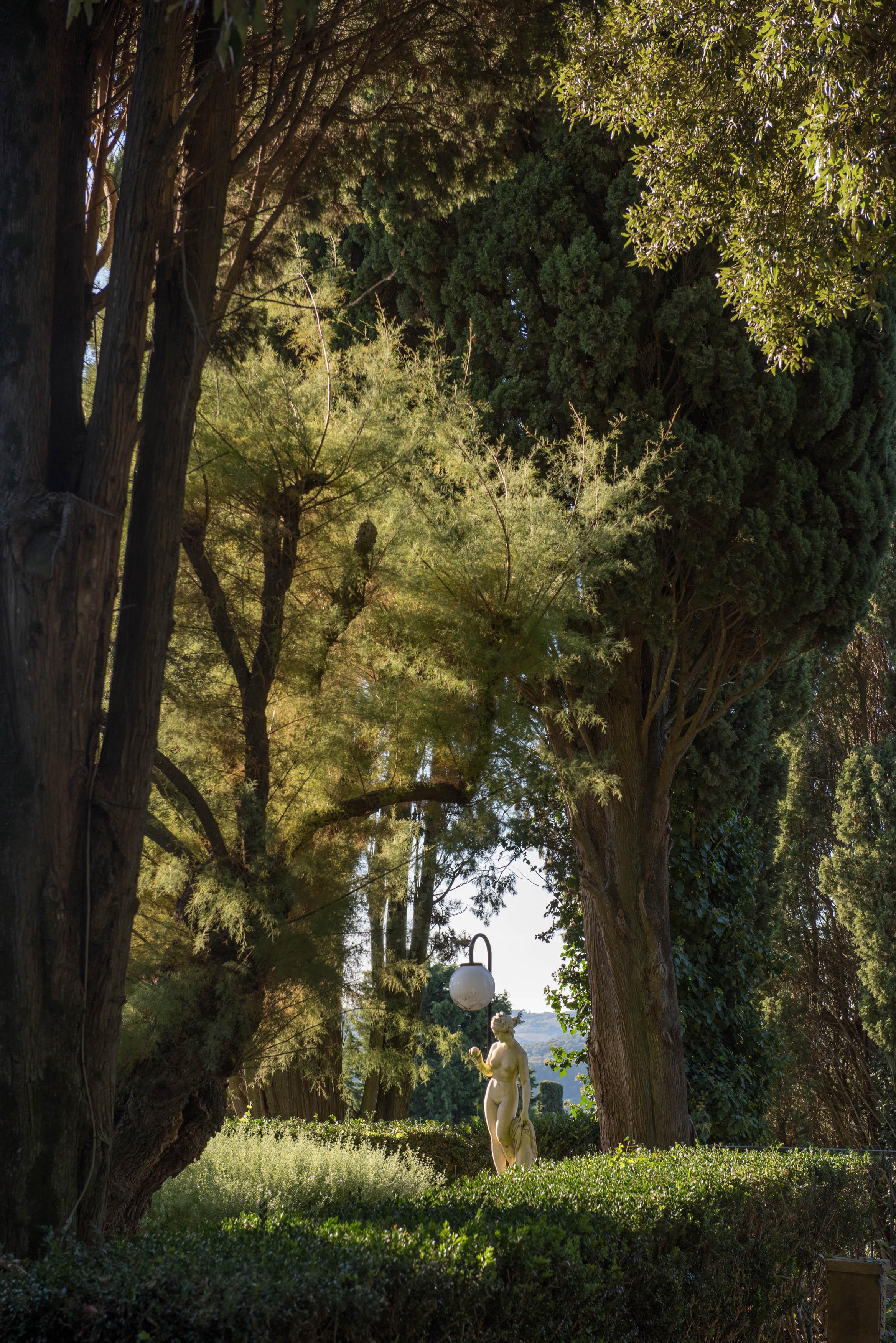 Tenuta La Bandita Sassetta Esterno foto