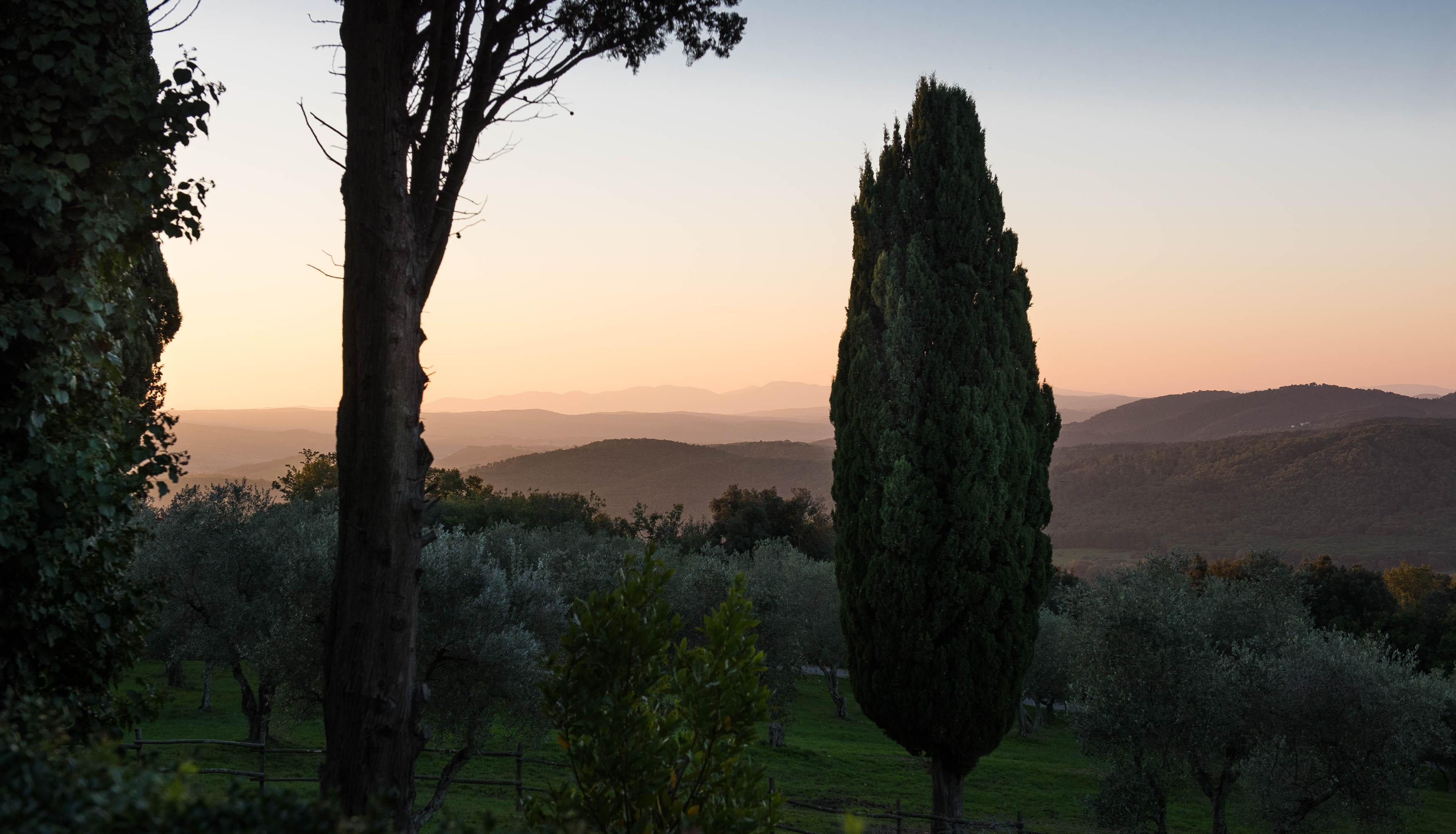 Tenuta La Bandita Sassetta Esterno foto