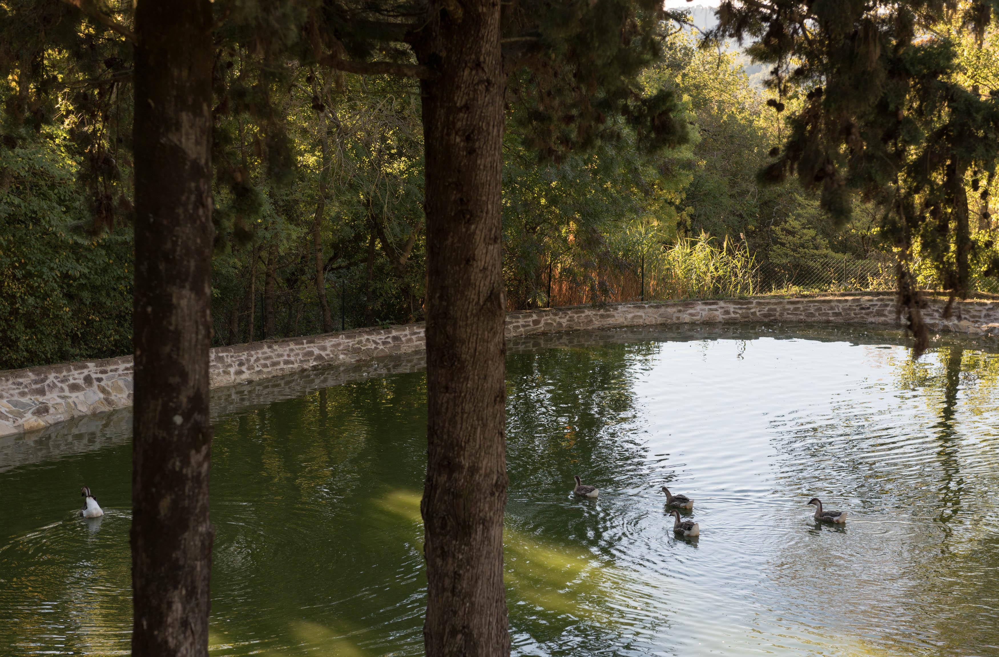 Tenuta La Bandita Sassetta Esterno foto
