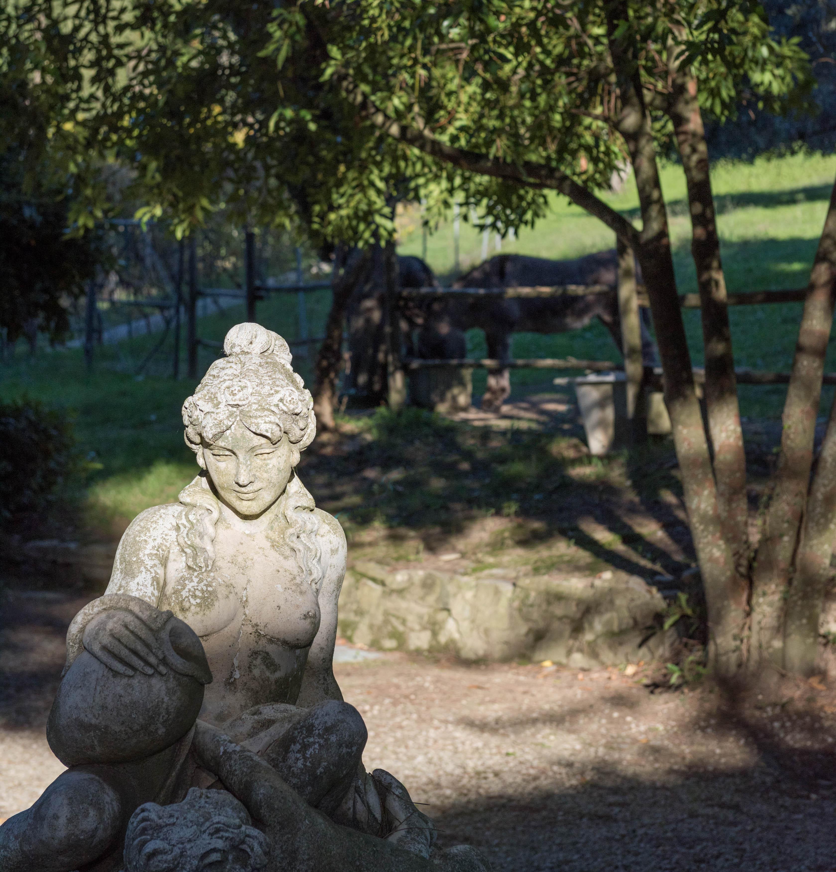 Tenuta La Bandita Sassetta Esterno foto