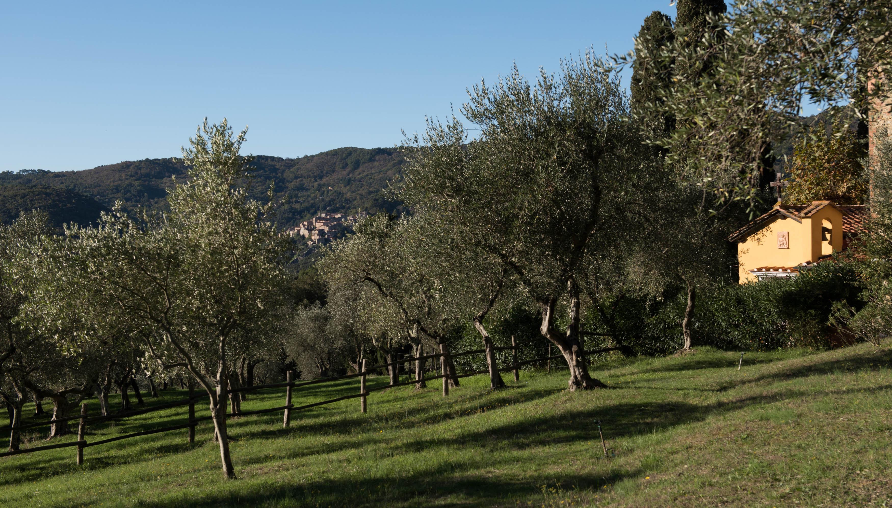 Tenuta La Bandita Sassetta Esterno foto